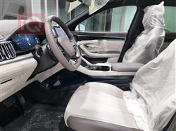 بي واي دي سونغ بلس